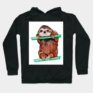 Watercolor - Baby sloth Hoodie